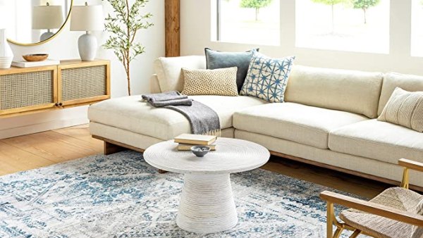 blue and white rug