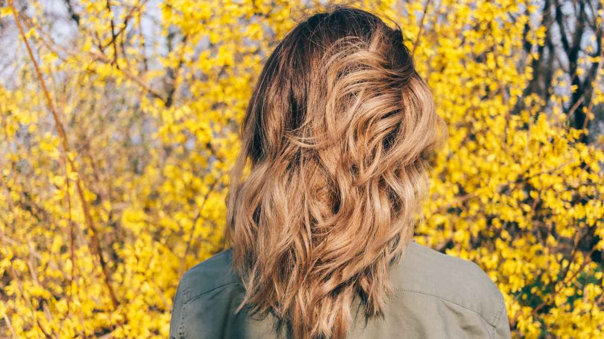 Brown-Hair-Stock-Photo