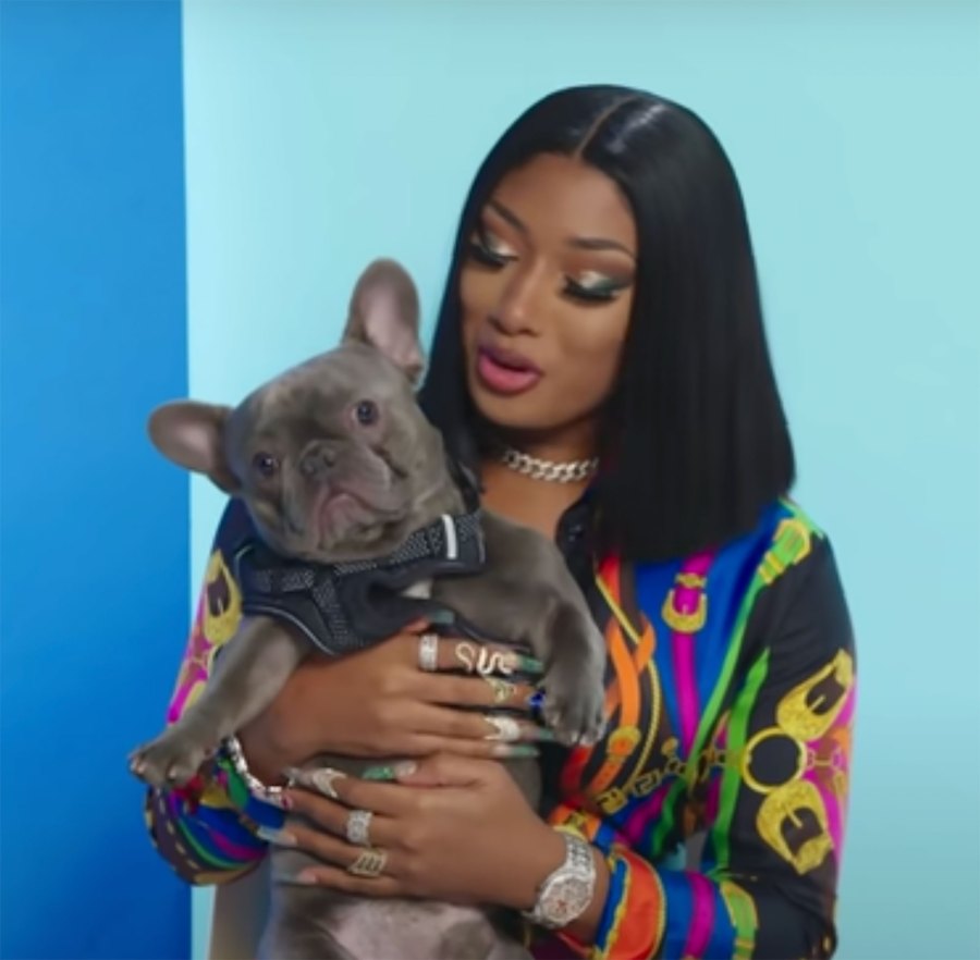 Celebrities Who Love French Bulldogs: Lady Gaga, Reese Witherspoon, Megan Thee Stallion and More Megan Thee Stallion