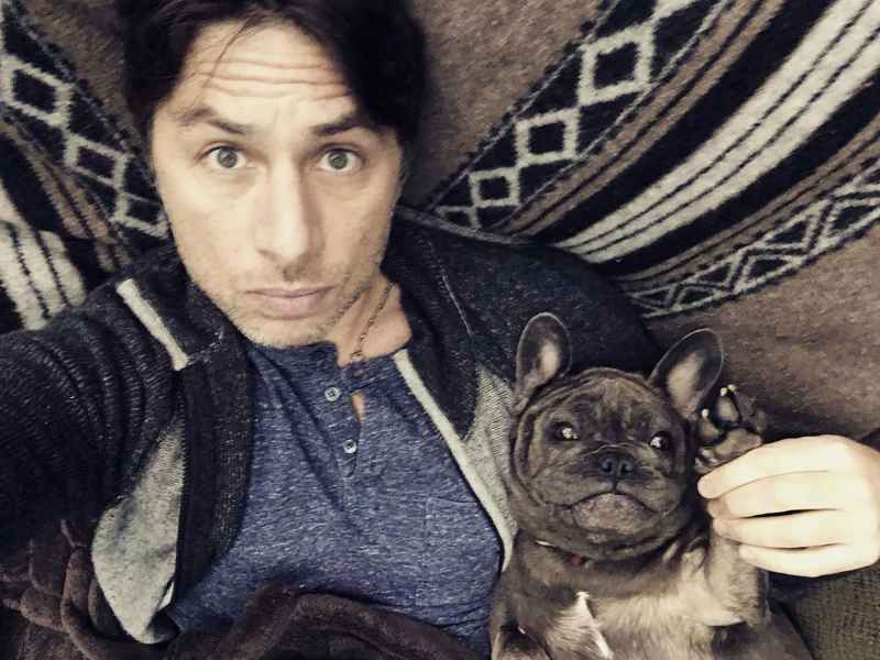 Celebrities Who Love French Bulldogs: Lady Gaga, Reese Witherspoon, Megan Thee Stallion and More Zach Braff