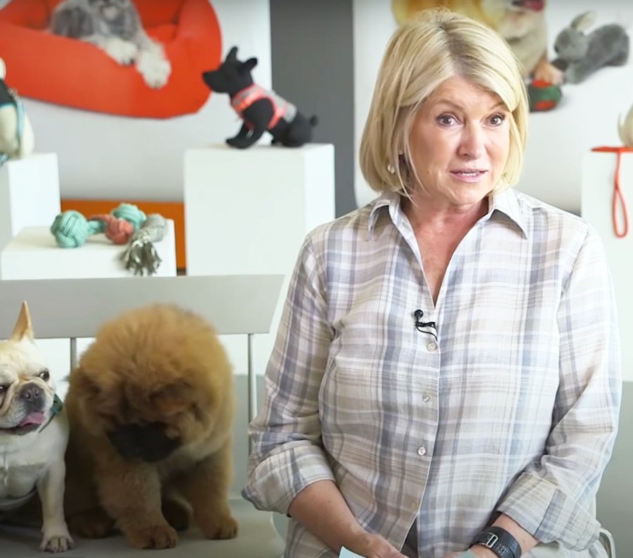 Celebrities Who Love French Bulldogs: Lady Gaga, Reese Witherspoon, Megan Thee Stallion and More Martha Stewart