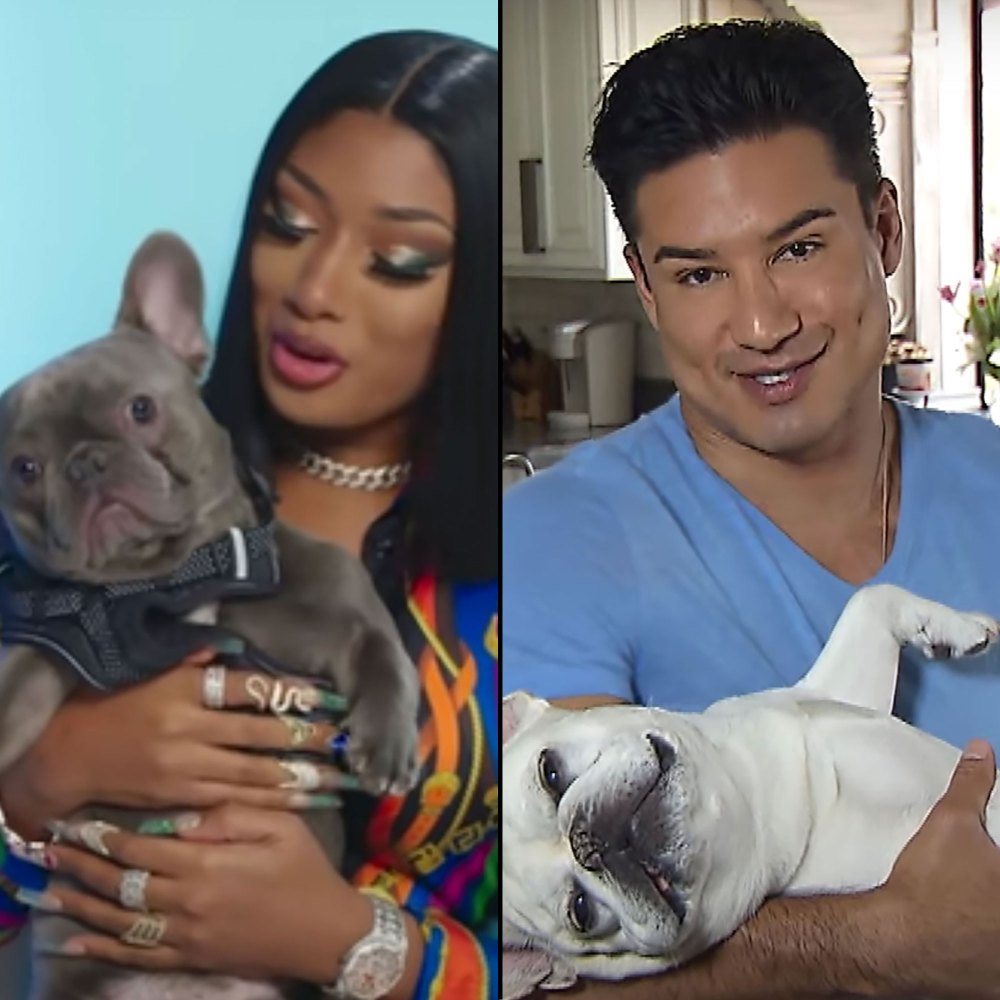 Celebrities Who Love French Bulldogs: Lady Gaga, Reese Witherspoon, Megan Thee Stallion and More Megan Thee Stallion, Mario Lopez