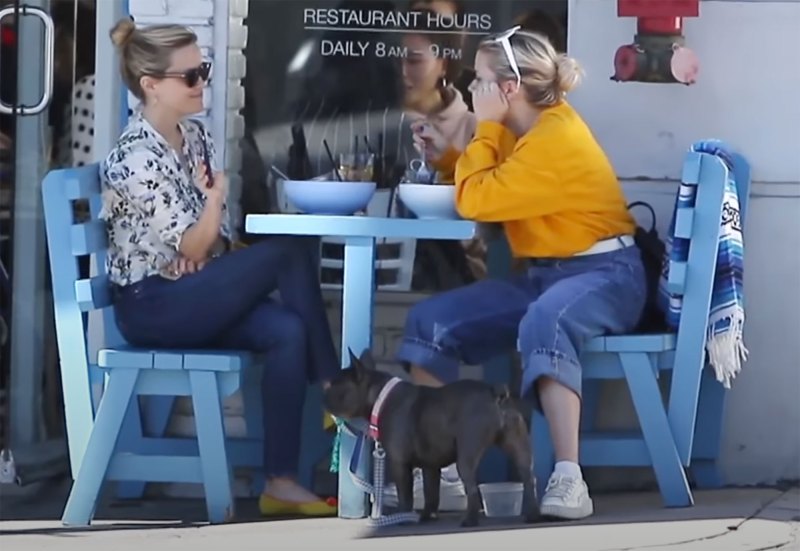 Celebrities Who Love French Bulldogs: Lady Gaga, Reese Witherspoon, Megan Thee Stallion and More Reese Witherspoon