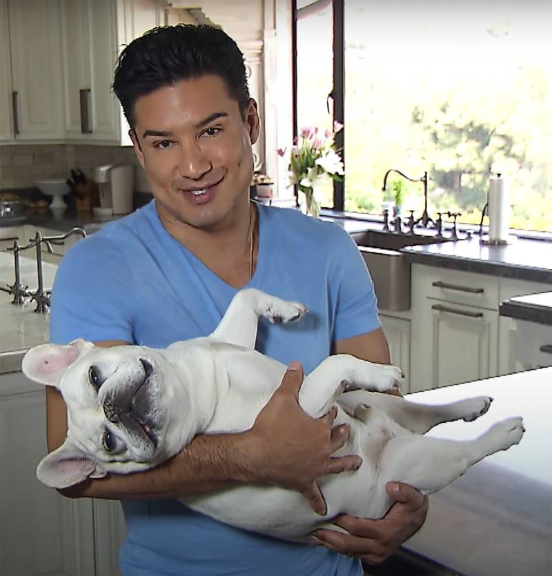 Celebrities Who Love French Bulldogs: Lady Gaga, Reese Witherspoon, Megan Thee Stallion and More Mario Lopez