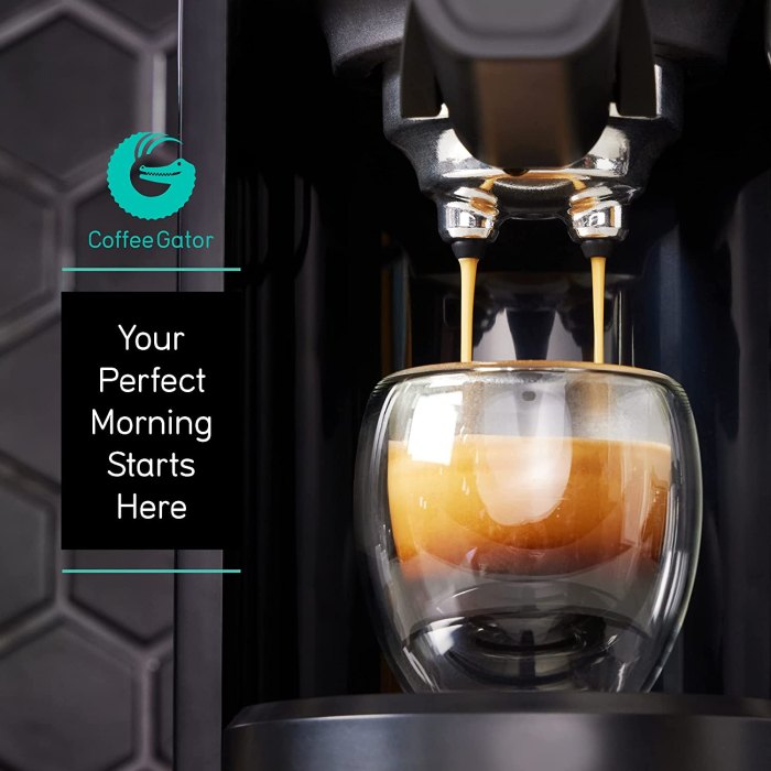 Cafetera espresso Gator
