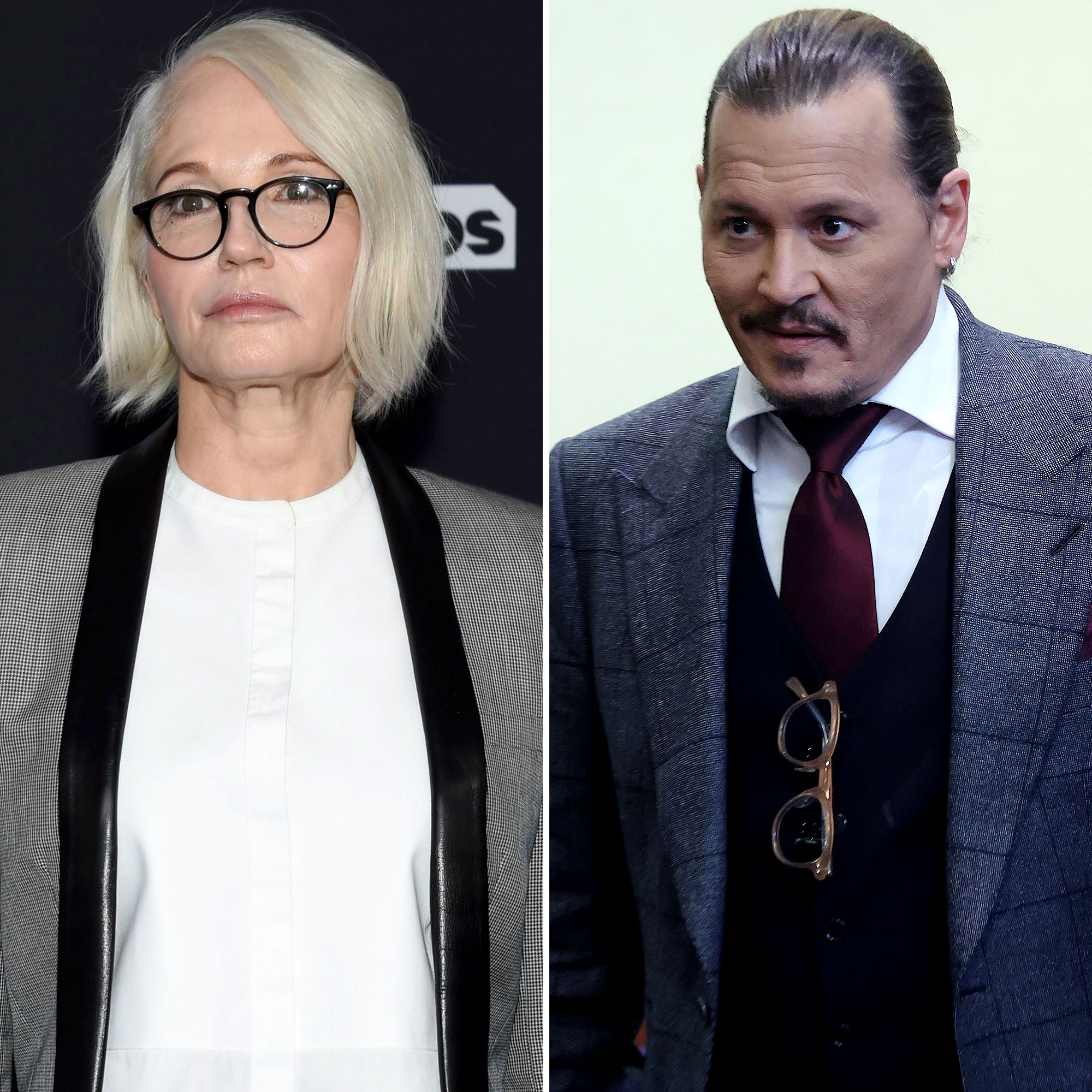 Ellen Barkin Alleged Johnny Depp Gave Her Drugs in New Docs pic picture