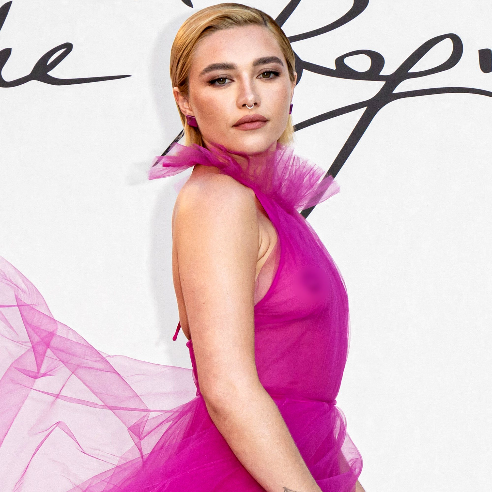 Show off - The Celeb Handler — CHYOA