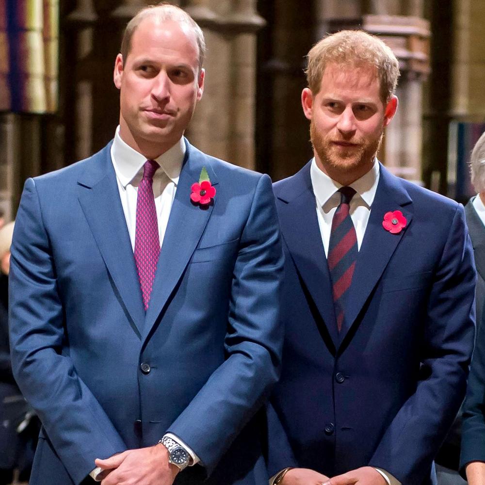 Investigator Details 'Emotional' Talk With William, Harry Amid Diana's Death