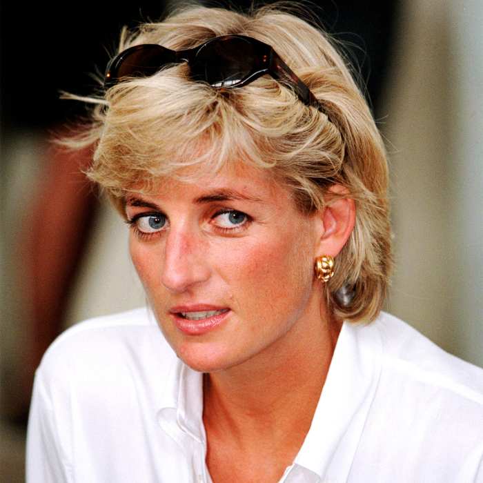 Investigator Details 'Emotional' Talk With William, Harry Amid Diana's Death