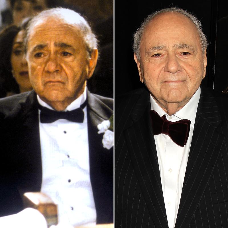 'My Big Fat Greek Wedding' Cast: Where Are They Now? Michael Constantine