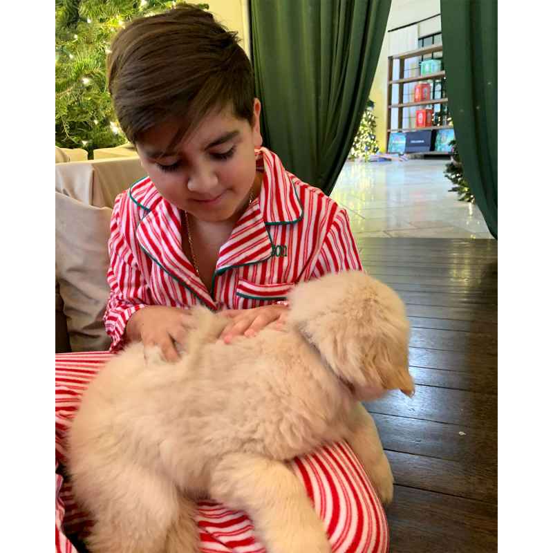 Precious Pooches! See Kardashian-Jenner Kids' Snuggling Their Sweetest Pets