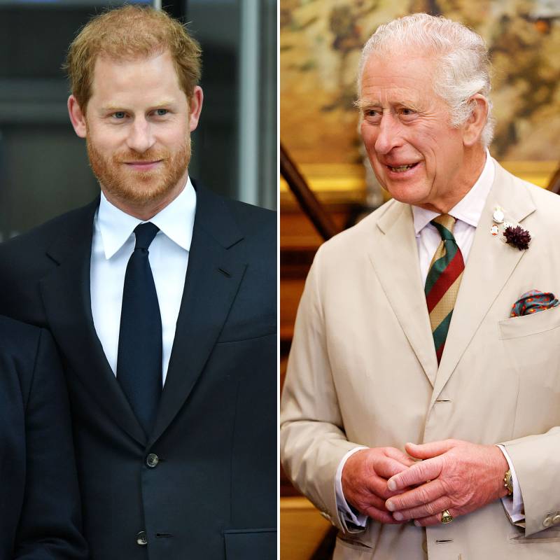 Prince Harry Ups Downs Royal Family Update