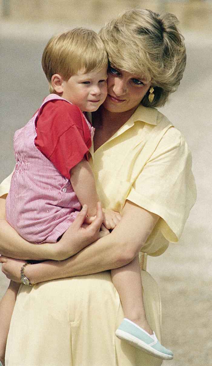 Prince Harry Wishes Archie and Lili Could Have Met Late Princess Diana