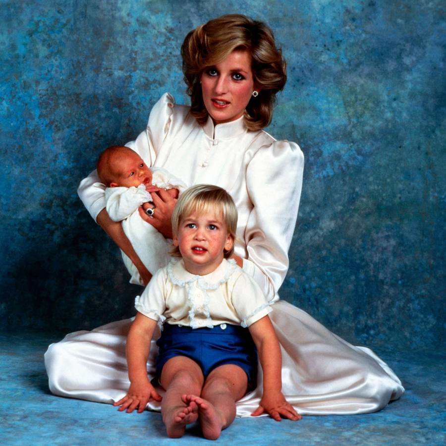 Protecting Diana Book Revelations Prince William Prince Harry