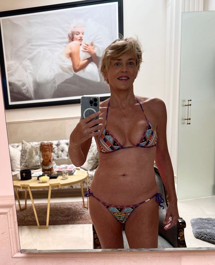 Sharon Stone Wows Tiny String Bikini
