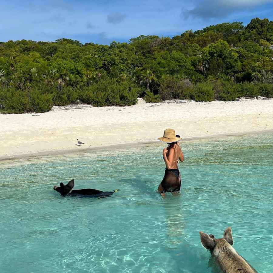 Shirtless Bradley Cooper Irina Shayk Feed, Swim With Pigs While on Vacation