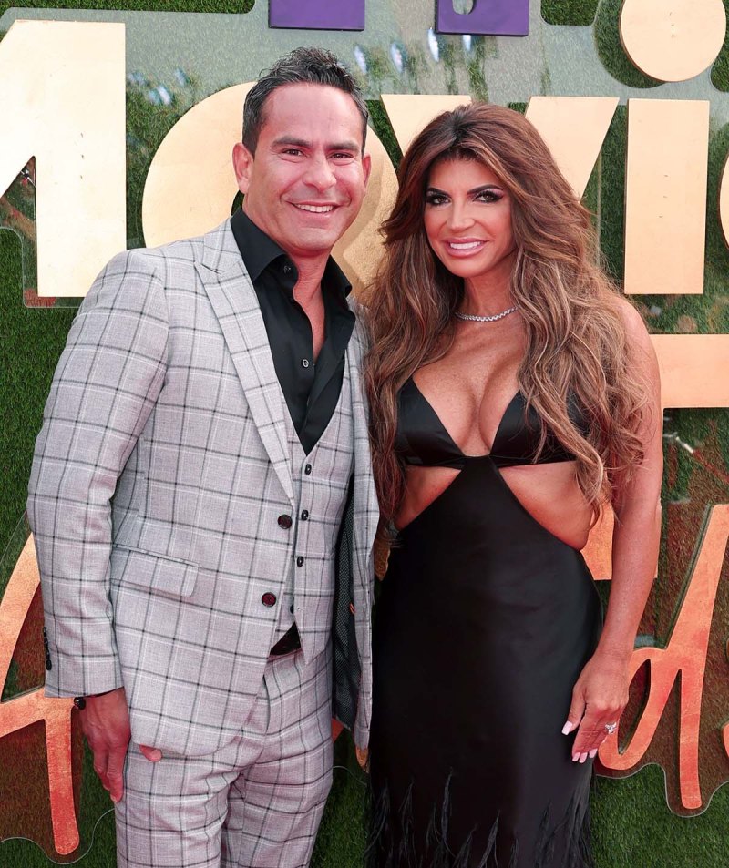 Teresa Giudice and Luis Ruelas: A Timeline of Their Relationship