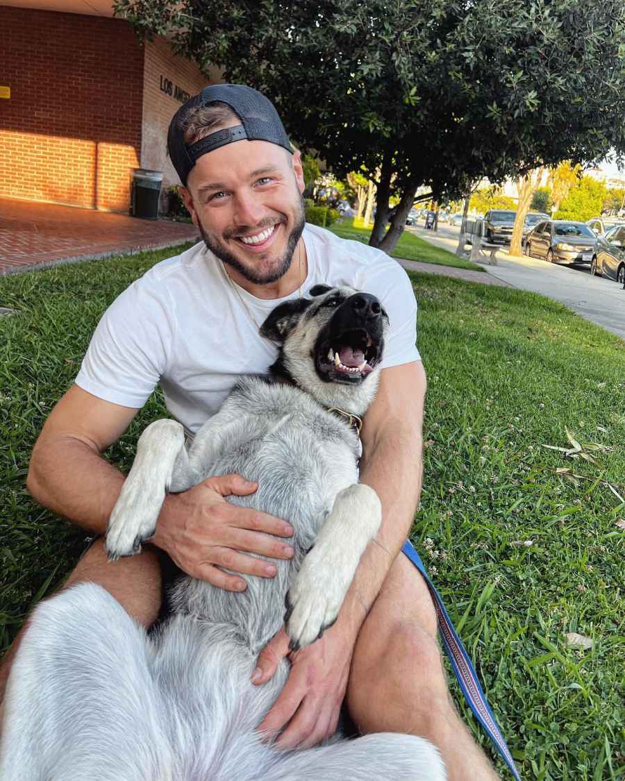 Bachelor Nation’s Dogs Colton Underwood