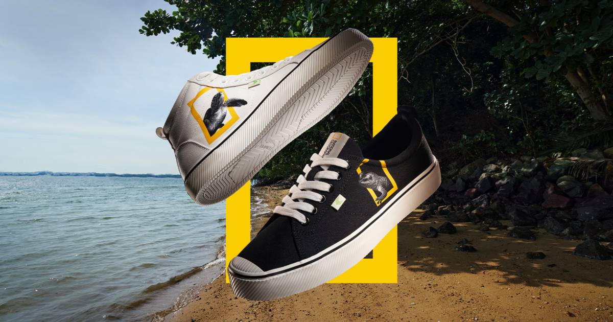 Cariuma x Nationwide Geographic Sneakers Are Right here Cariuma x Nationwide Geographic Sneakers Are Right here