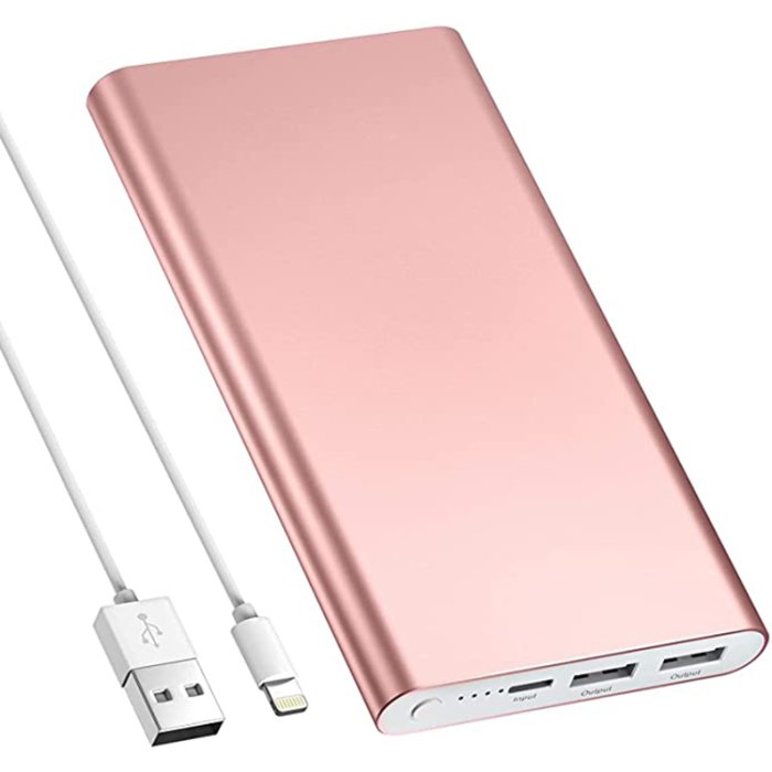 Portable battery charger