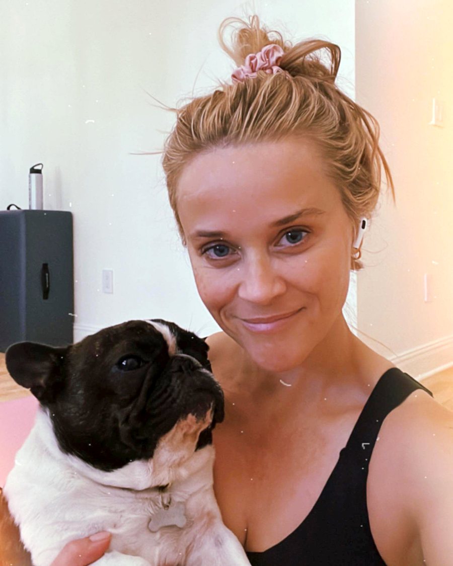 Life’s Better With Her Pups! Reese Witherspoon’s Sweetest Snaps With Dogs