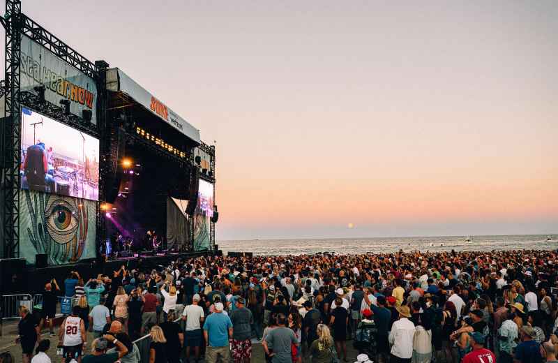 Buzzzz-o-Meter: Stars Are Buzzing About This Beachfront Music Festival