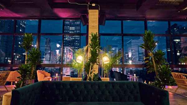 daintree- nyc