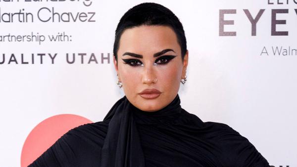 Demi Lovato Posts — and Deletes — Announcement Saying She 'Can't' Tour Anymore