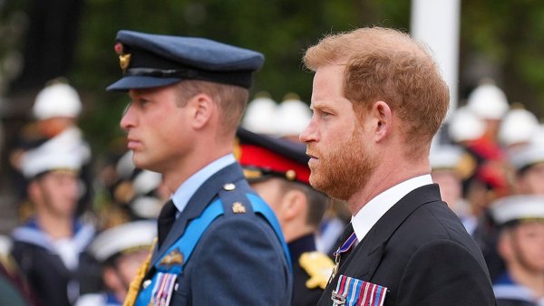 Feature Prince Harry Does Not Wear Military Uniform to Queen Elizabeth II's Funeral Despite Decade of Service