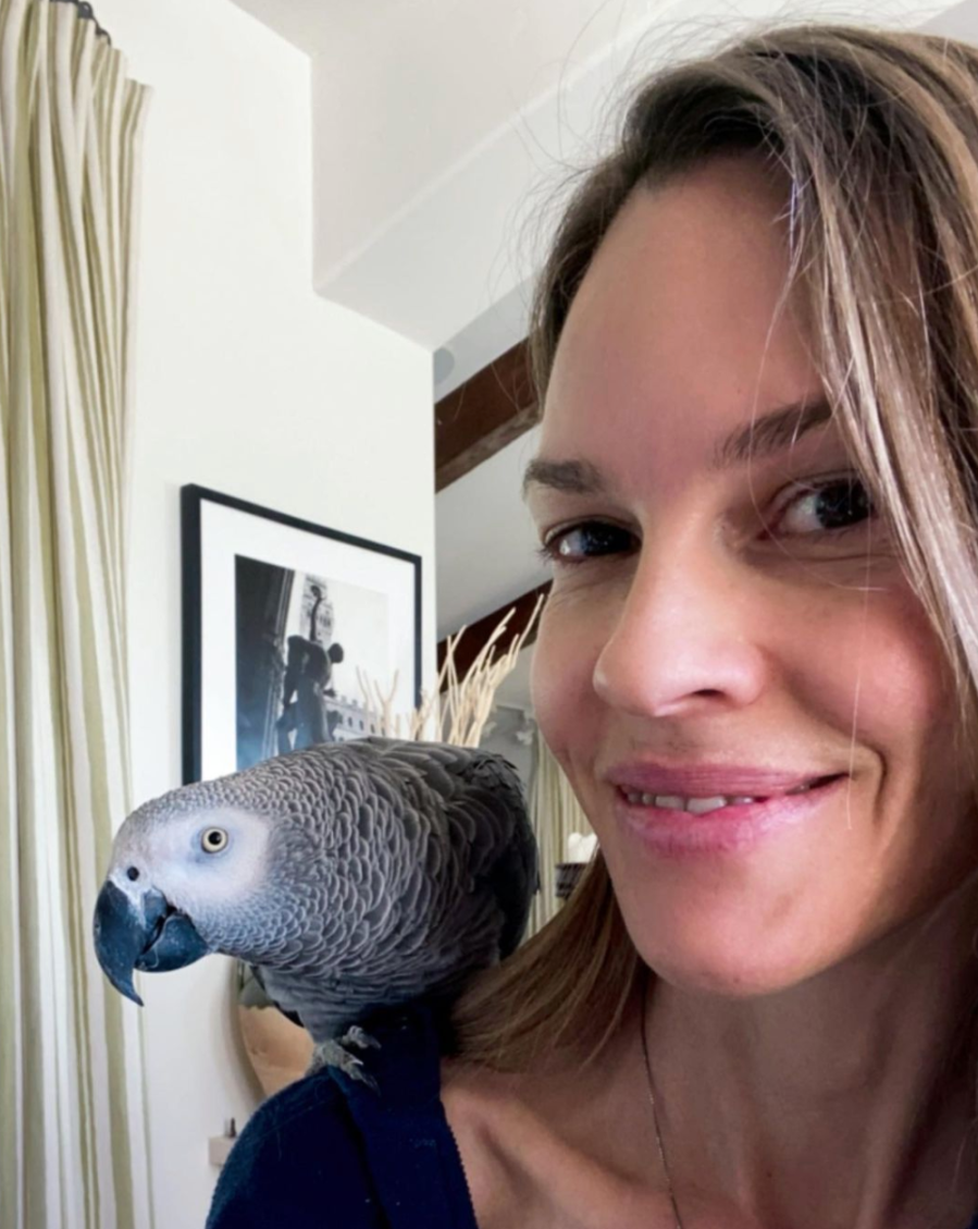 Hilary Swank Selfie with Parrot