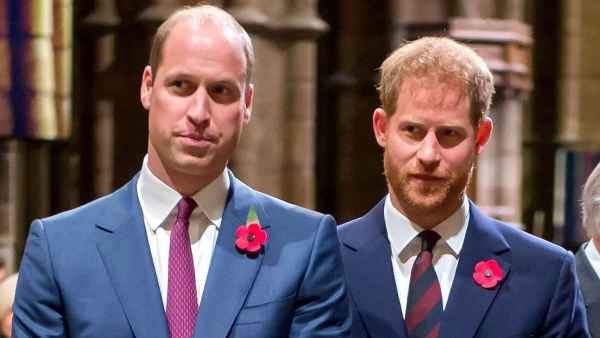 Inside Prince William and Prince Harry’s Interactions as They Mourn Queen Elizabeth II
