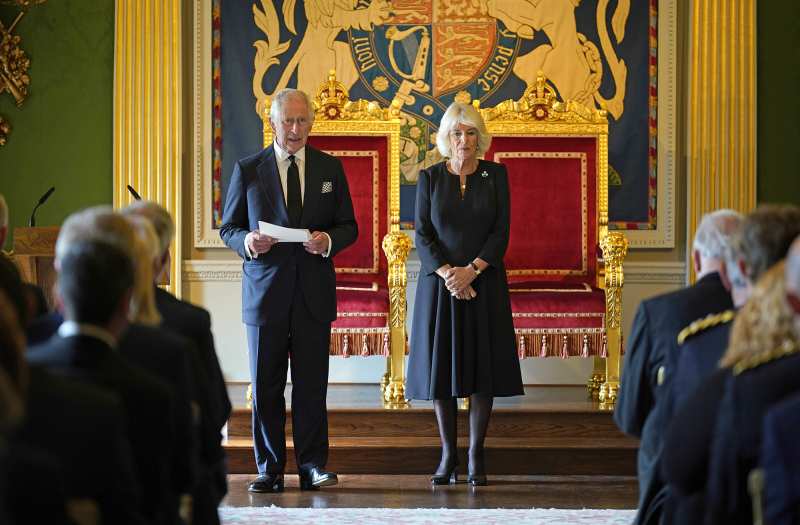 Camilla and Charles addressed Irish representatives