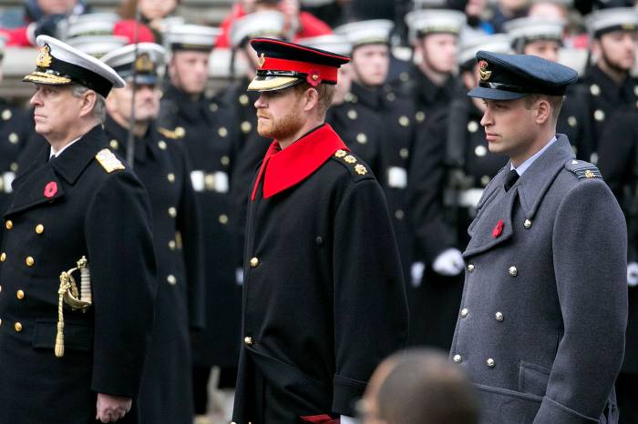 Prince Andrew Granted Exception to Wear Military Uniform for Queen Elizabeth II Final Vigil Prince Harry Not Allowed 2