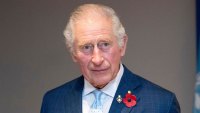 Prince Charles Quotes About Becoming King Everything He's Said