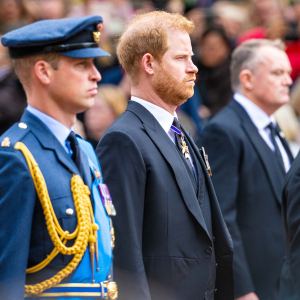 Prince Harry's Ups and Downs With the Royal Family Over the Years, From Royal Exit to Meghan Markle Tell-All and More