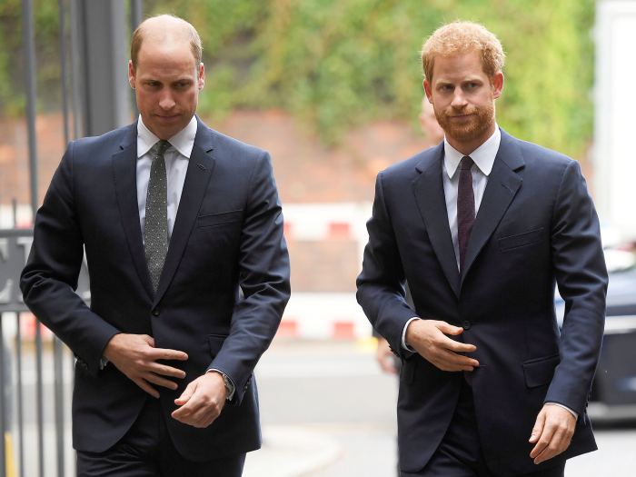 Prince William and Prince Harry’s Relationship Is Still ‘Dicey,’ Royal Expert Says After They Unite to Greet Mourners
