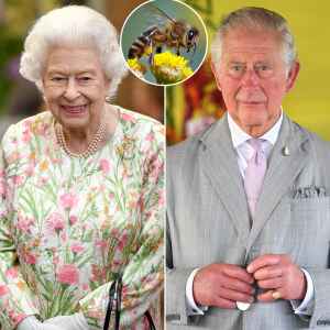 Queen Elizabeth II’s Bees Informed That King Charles III Is Now the New Monarch: Inside the Unusual Tradition