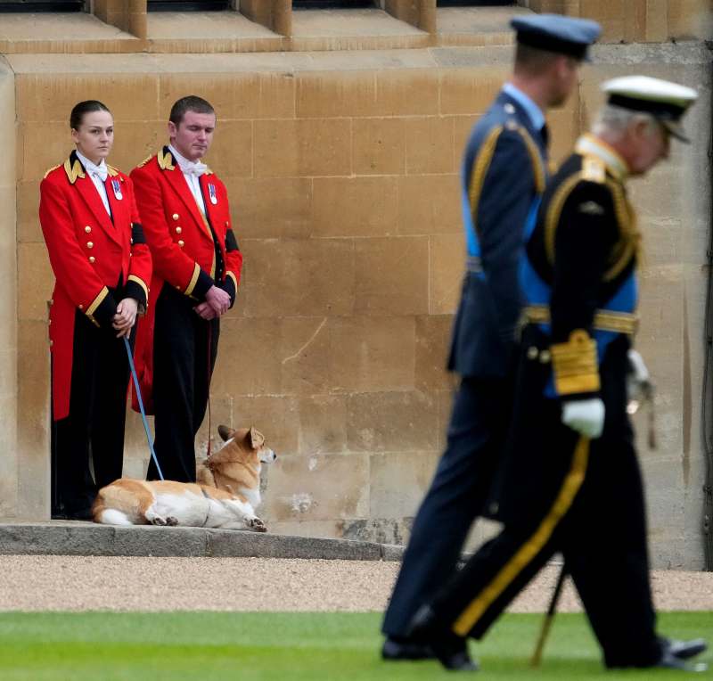 Queen Elizabeth II’s Corgis and Main Riding Horse Stationed Outside Windsor Castle Amid Funeral Service corgis with guards