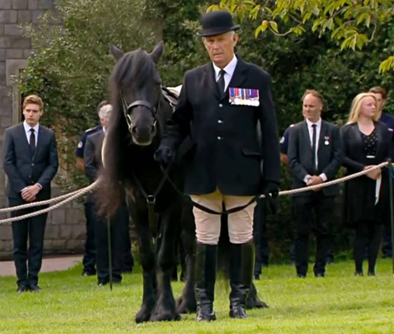 Queen Elizabeth II’s Corgis and Main Riding Horse Stationed Outside Windsor Castle Amid Funeral Service horse