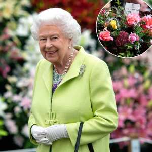 Royal Onlookers React to Spider Spotted on Queen Elizabeth II's Casket Promo