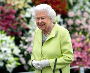 Królewscy obserwatorzy reagują na pająka zauważonego na trumnie królowej Elżbiety II