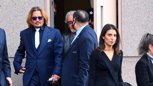 Joelle Rich: 5 Things to Know About the Married Lawyer Dating Johnny Depp