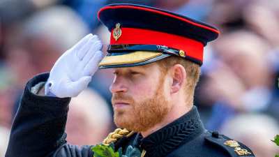 Why Prince Harry Can't Wear His Military Uniform - Overview 2019