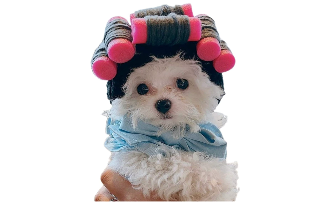 curlers costume