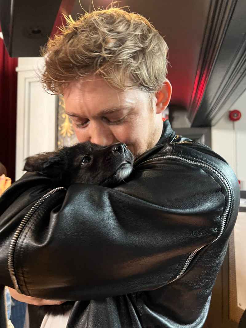 Joe Alwyn, More Hot Hunks Snuggle Cute Puppies