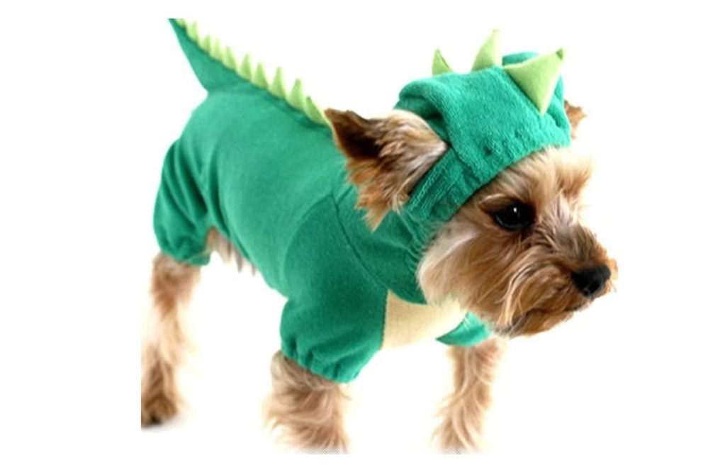 dinosaur costume