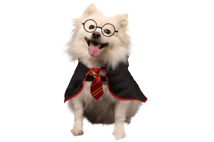 Harry Potter costume