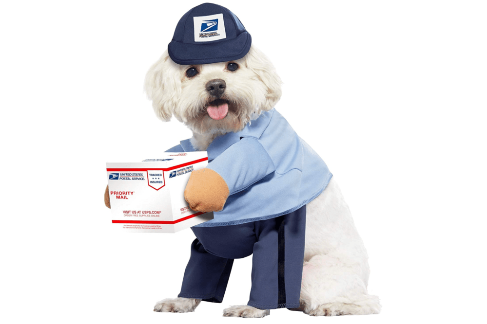 mail carrier costume