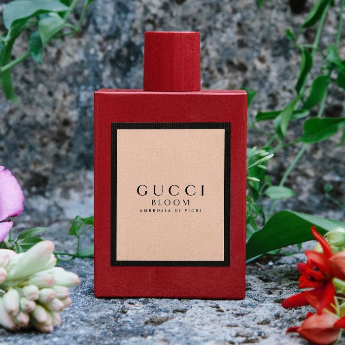 Gucci Bloom Ambrosia