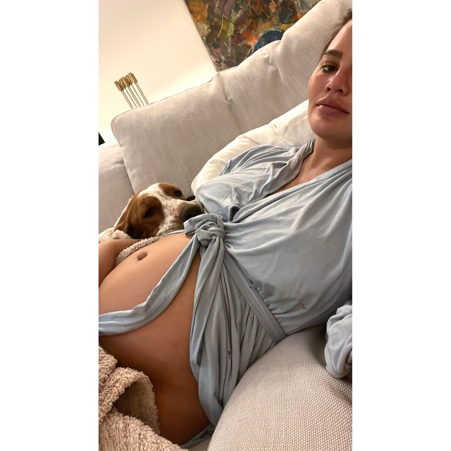 Chrissy Teigen, More Pregnant Stars Love Their Pets